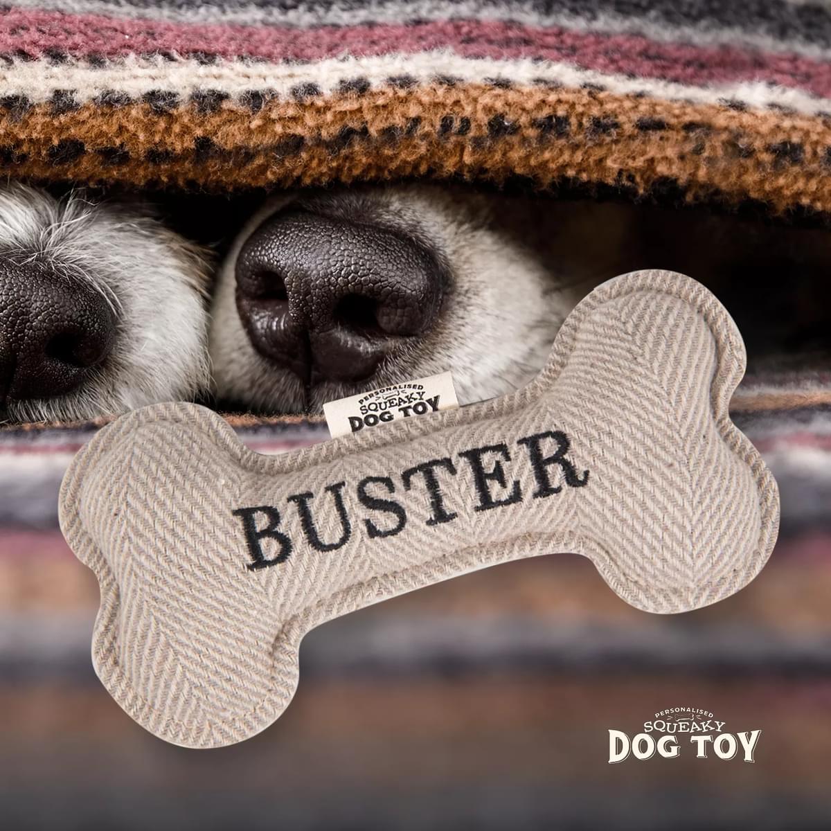 Named Squeaky Dog Toy-Buster . Bone shaped herringbone tweed pattern dog toy. 