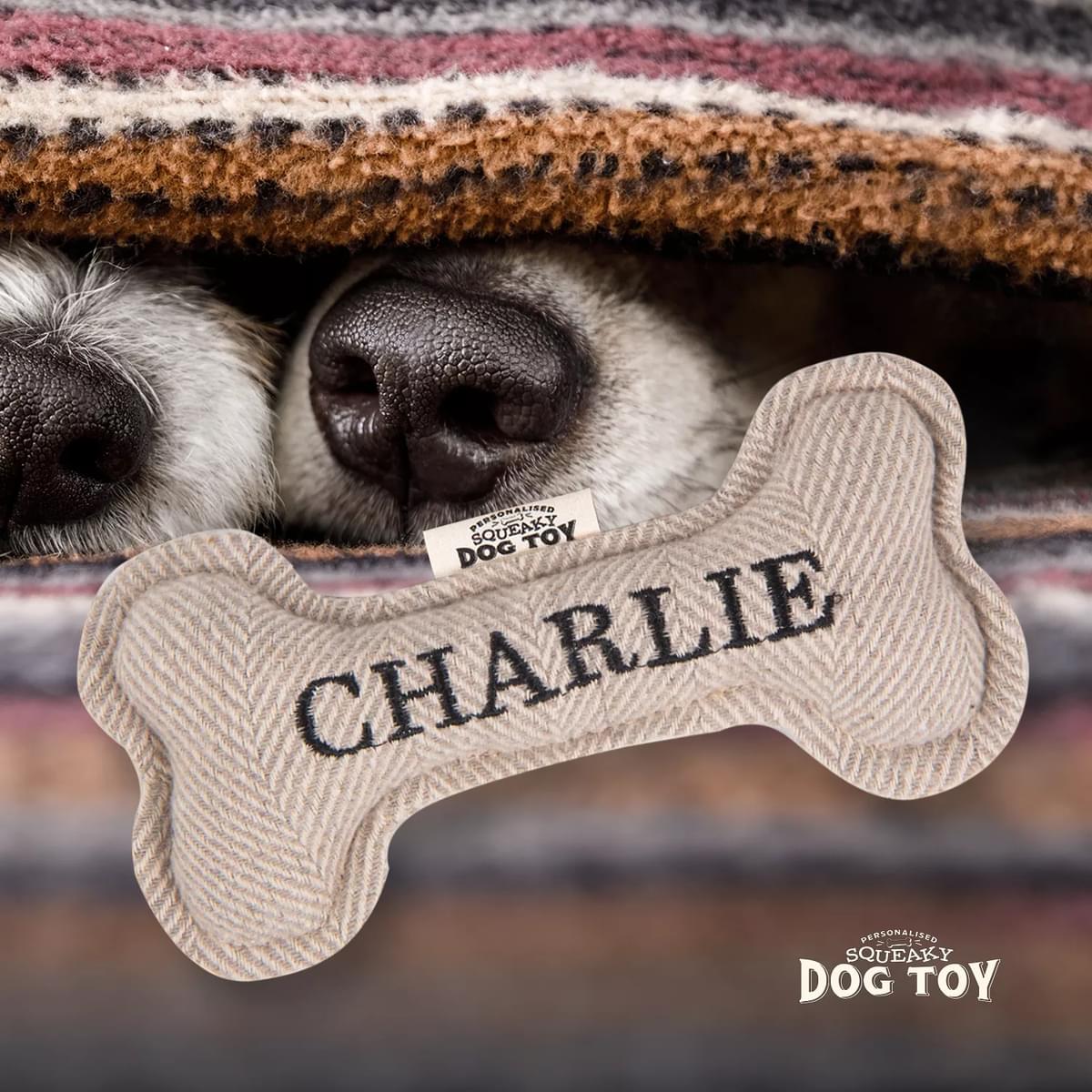 Named Squeaky Dog Toy- Charlie. Bone shaped herringbone tweed pattern dog toy. 