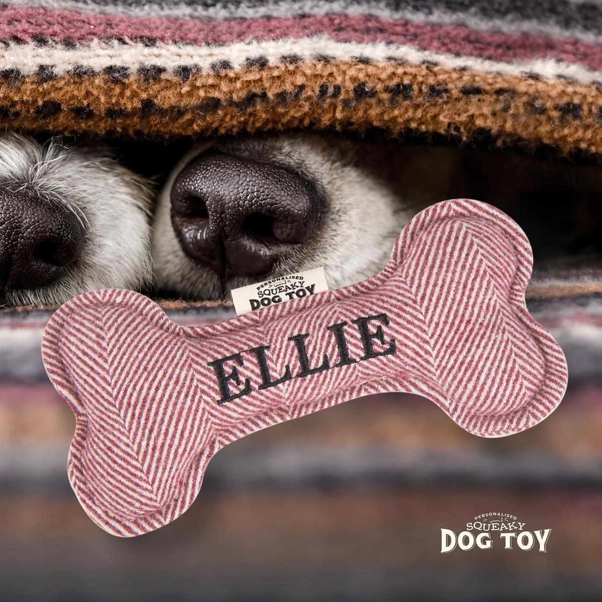 Named Squeaky Dog Toy- Ellie. Bone shaped herringbone tweed pattern dog toy. 