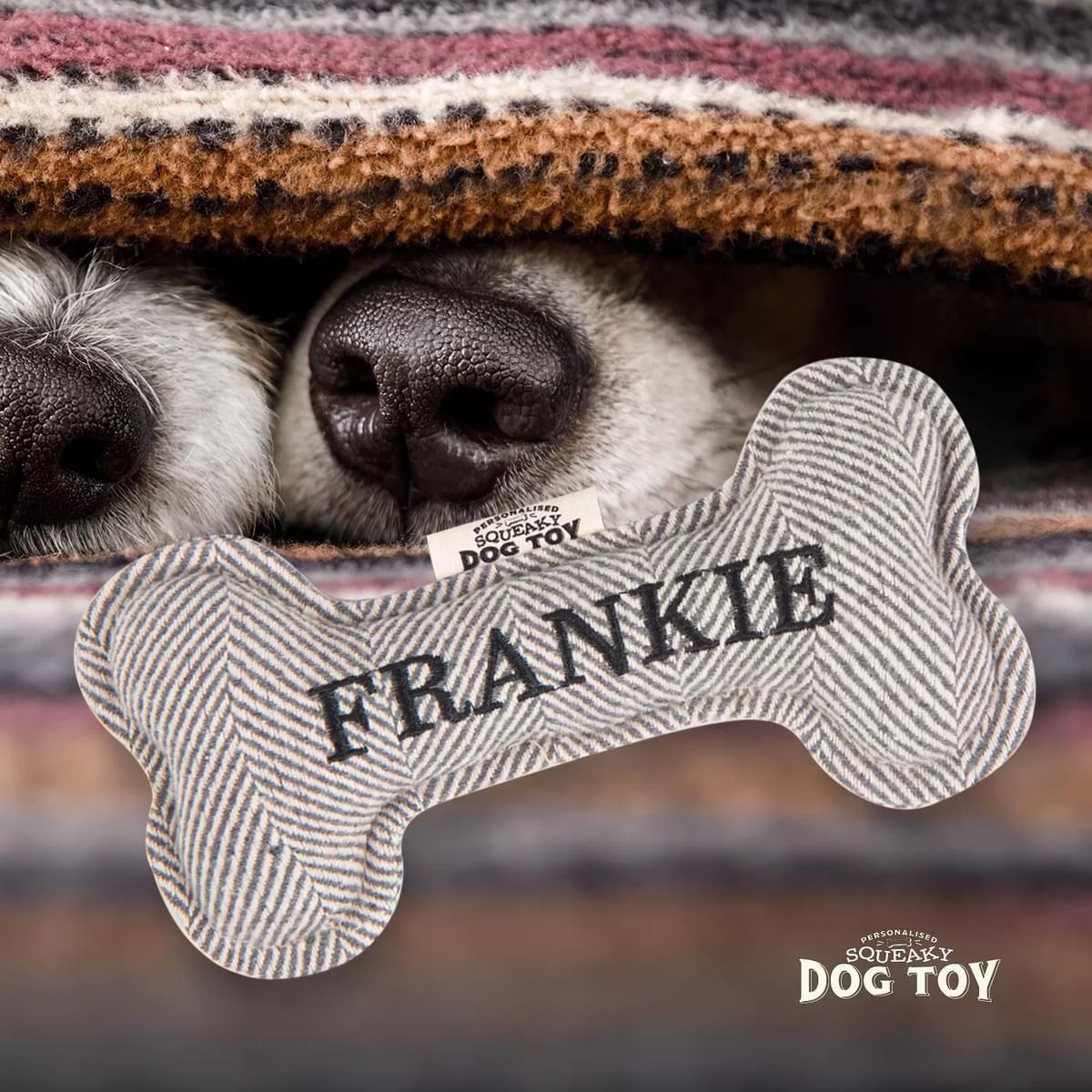 Named Squeaky Dog Toy- Frankie. Bone shaped herringbone tweed pattern dog toy. 