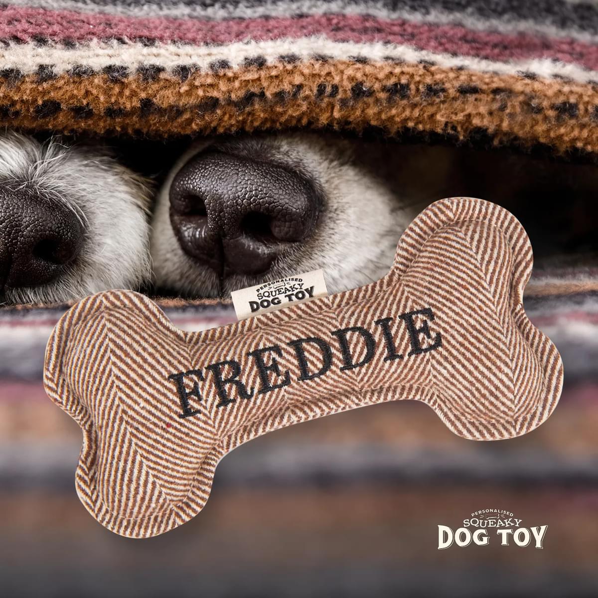 Named Squeaky Dog Toy- Freddie. Bone shaped herringbone tweed pattern dog toy. 