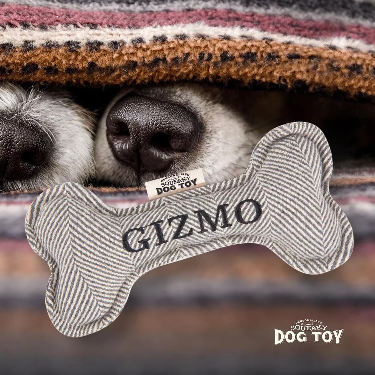 Named Squeaky Dog Toy- Gizmo. Bone shaped herringbone tweed pattern dog toy. 