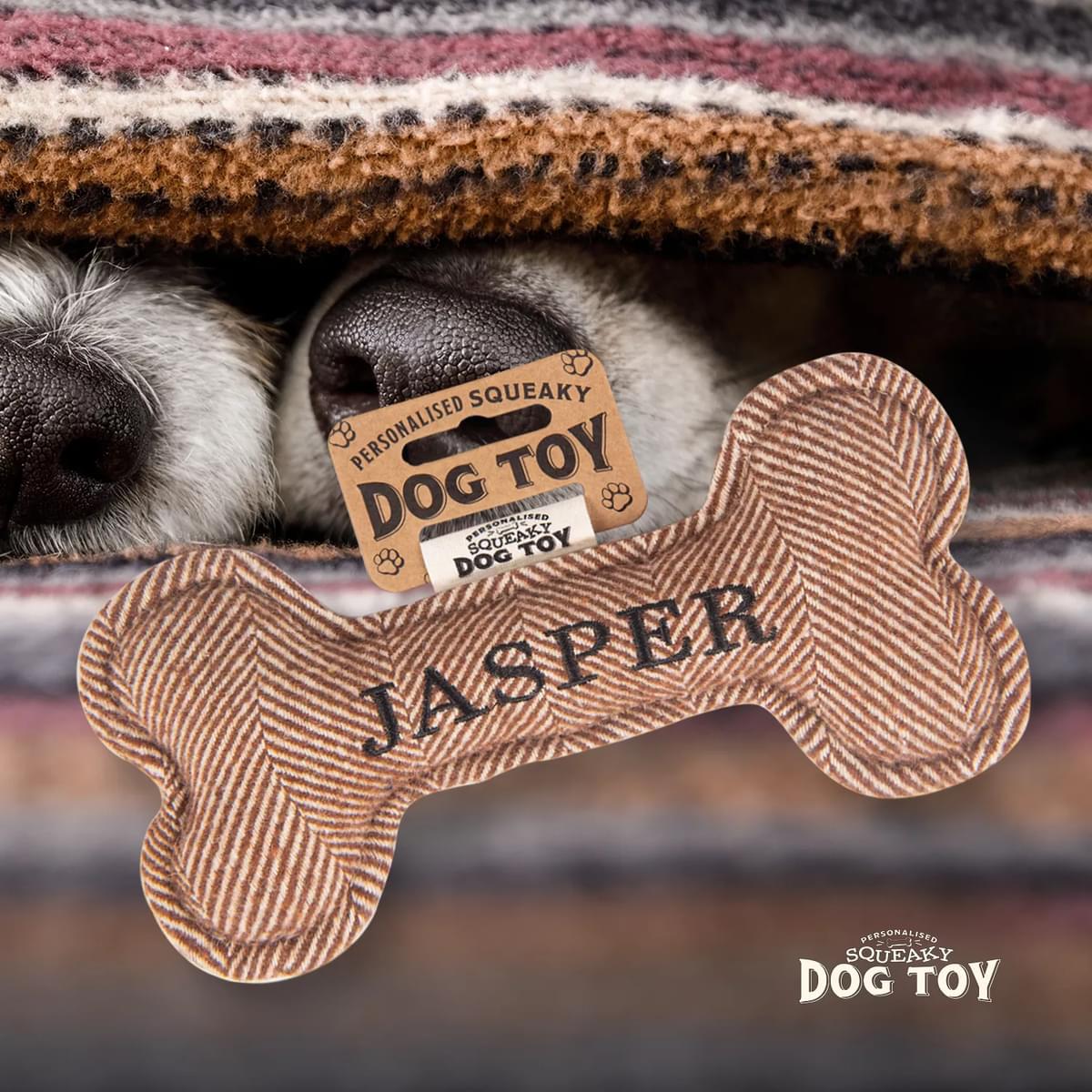 Named Squeaky Dog Toy- Jasper. Bone shaped herringbone tweed pattern dog toy. 