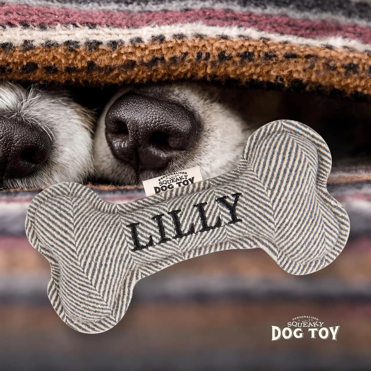 Named Squeaky Dog Toy- Lilly. Bone shaped herringbone tweed pattern dog toy. 