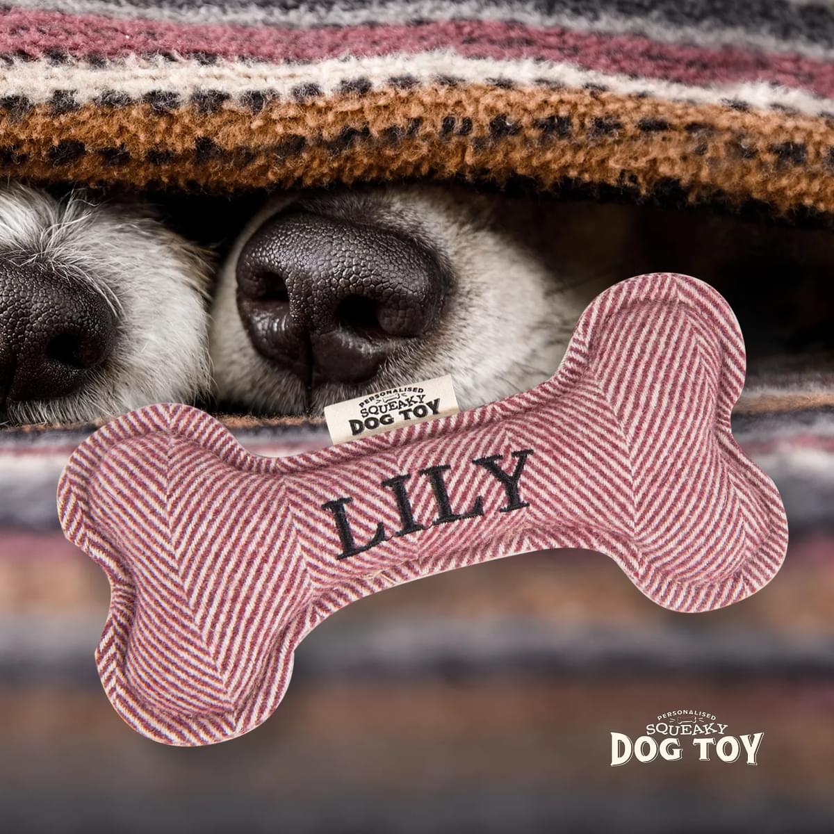 Named Squeaky Dog Toy- Lily. Bone shaped herringbone tweed pattern dog toy. 