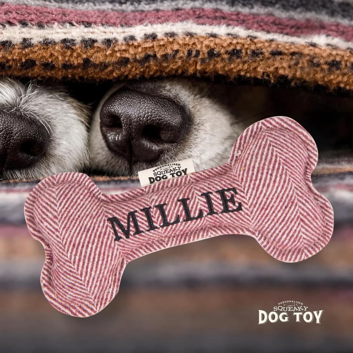 Named Squeaky Dog Toy- Millie. Bone shaped herringbone tweed pattern dog toy. 