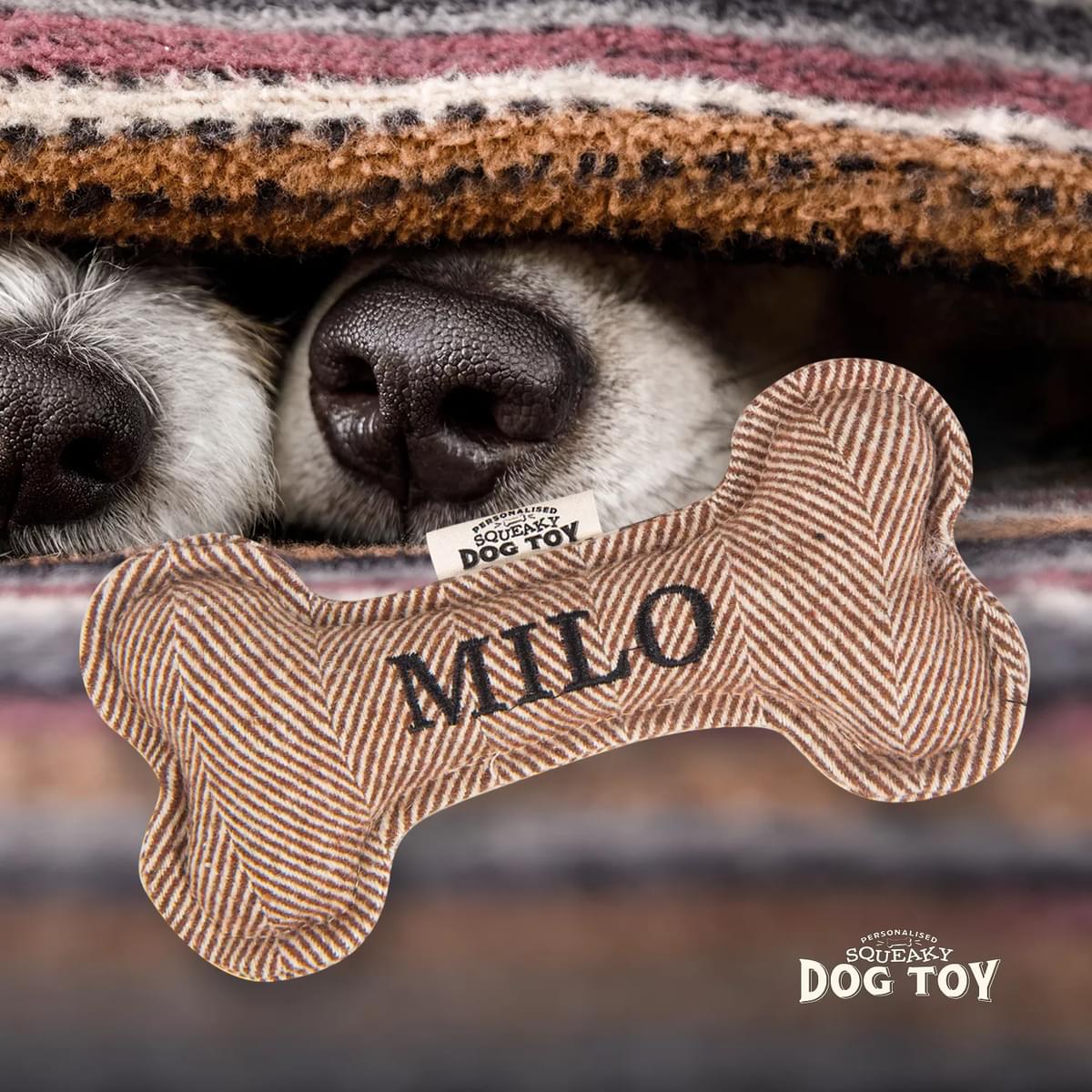 Named Squeaky Dog Toy- Milo. Bone shaped herringbone tweed pattern dog toy. 
