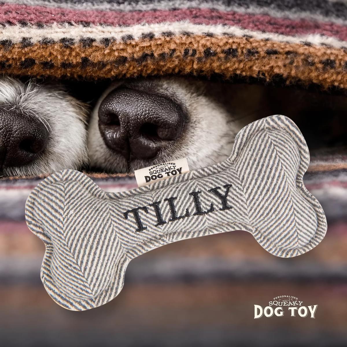 Named Squeaky Dog Toy- Tilly. Bone shaped herringbone tweed pattern dog toy. 