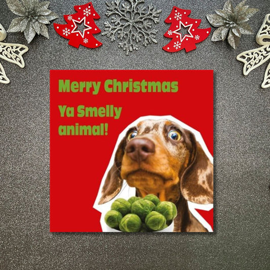 Funny Christmas Card - Funkymals Concerned Sausage Dog