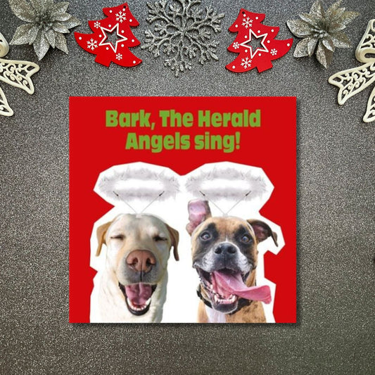 Funny Christmas Card - Funkymals Bark The Herald Angels