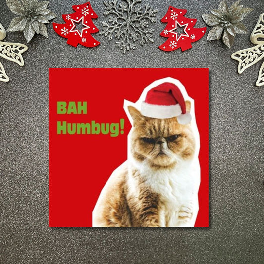 Funny Christmas Card - Funkymals Grumpy Cat