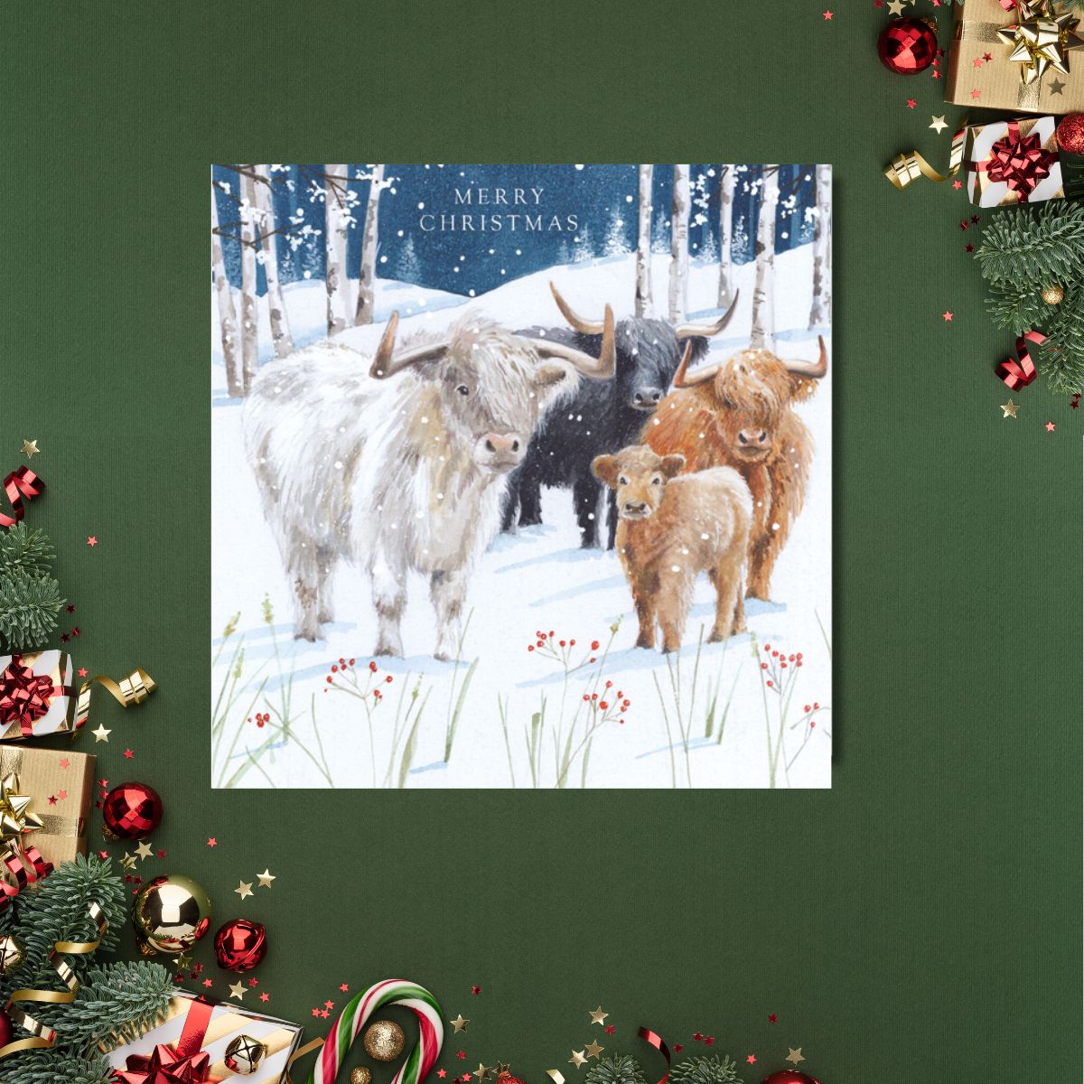 Charity Christmas Cards - 5 x Cows In The Snow