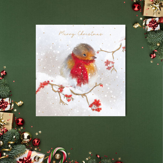 Charity Christmas Cards - 5 x Robin On Branch