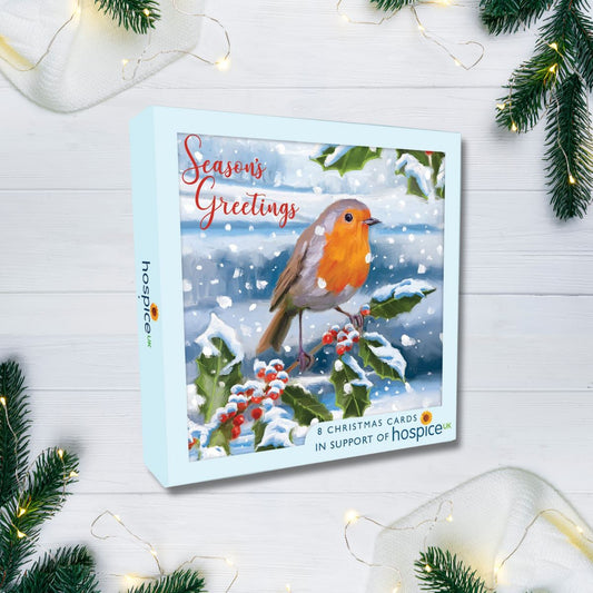 8 x Christmas Cards In Box - Snowy Red Robin