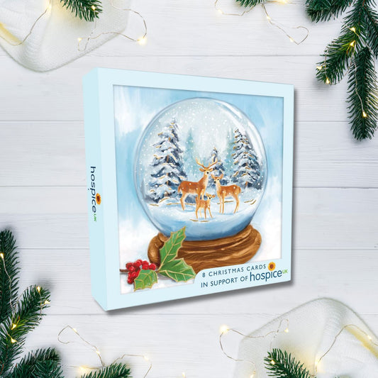 8 x Christmas Cards In Box - Snowy Snowglobe