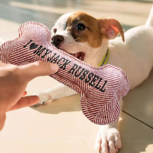 Range of Squeaky Dog Toys - Lifestyle picture of Jack Russell with an I Love My Jack Russell Squeaky Bone toy.