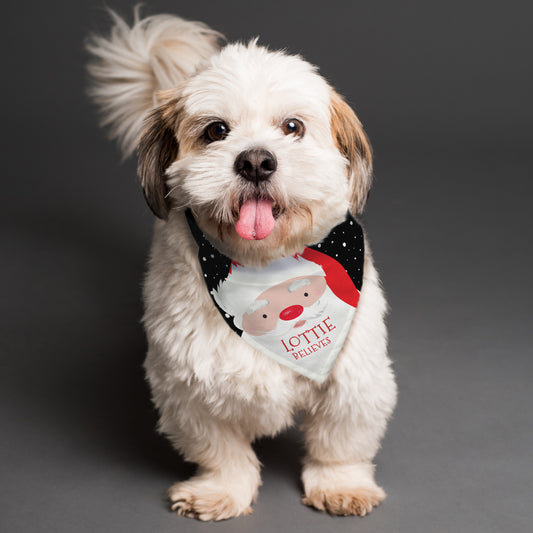 Personalised Dog Bandana Message