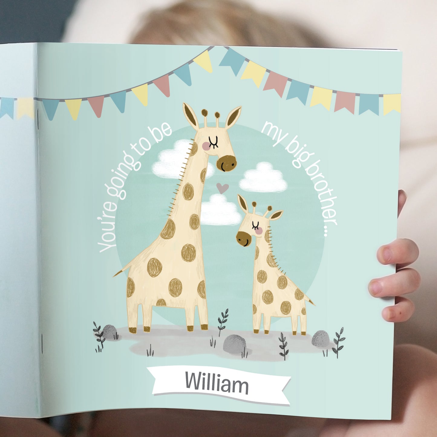 Personalised Big Brother Book