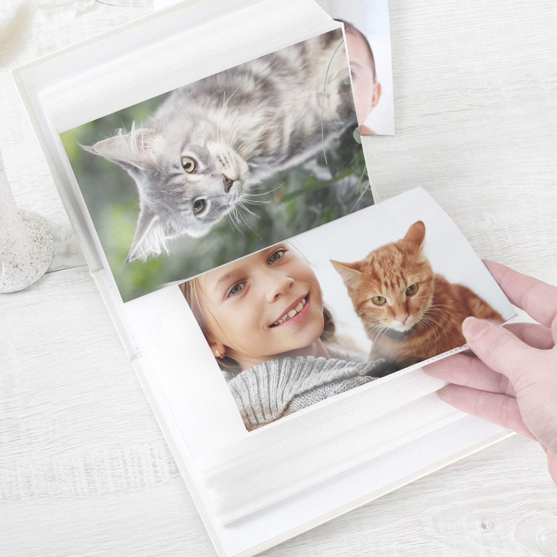 Personalised Pet Photo Album