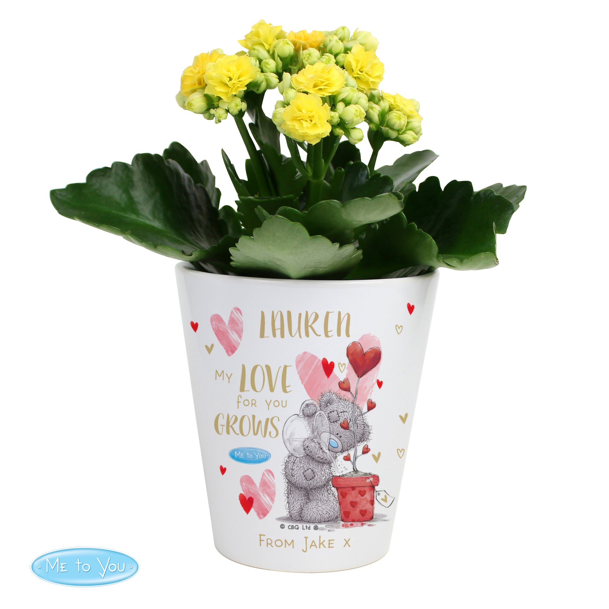 Personalised Me To You Valentine Flower Pot