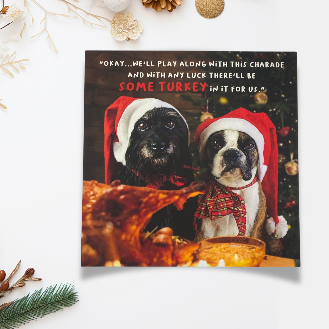 Funny Christmas Card - Virtual Safari Turkey