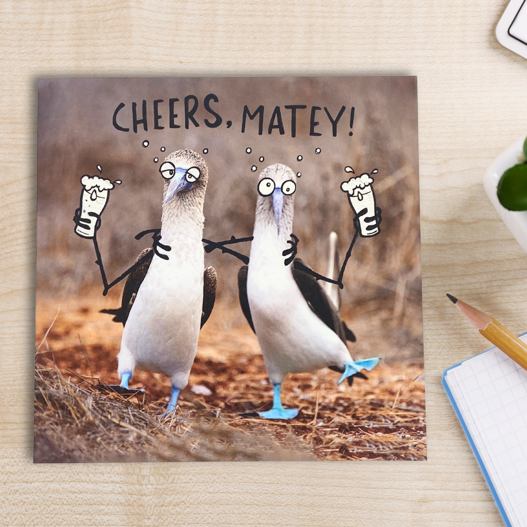Chicks With Sticks Funny Birthday Card - Cheers, Matey!