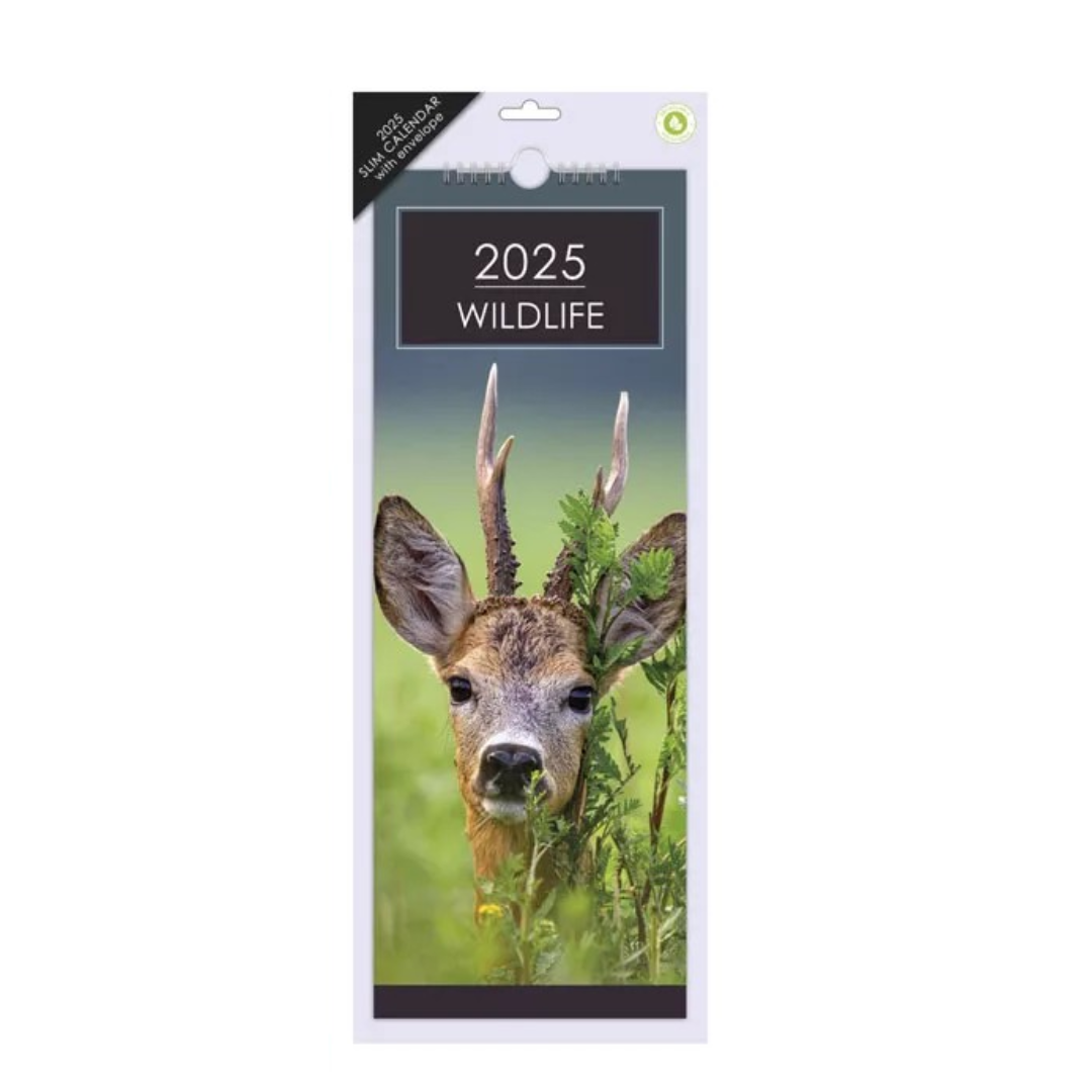 Wildlife - Slim Calendar 2025 With Envelope