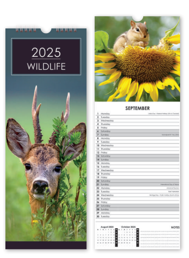 Wildlife - Slim Calendar 2025 With Envelope