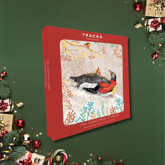 10 x Christmas Cards In Box - Penguin & Robin