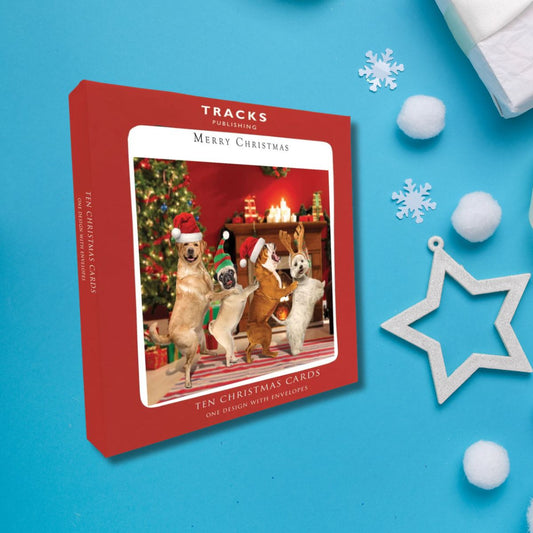 10 x Christmas Cards In Box - Dancing Dogs