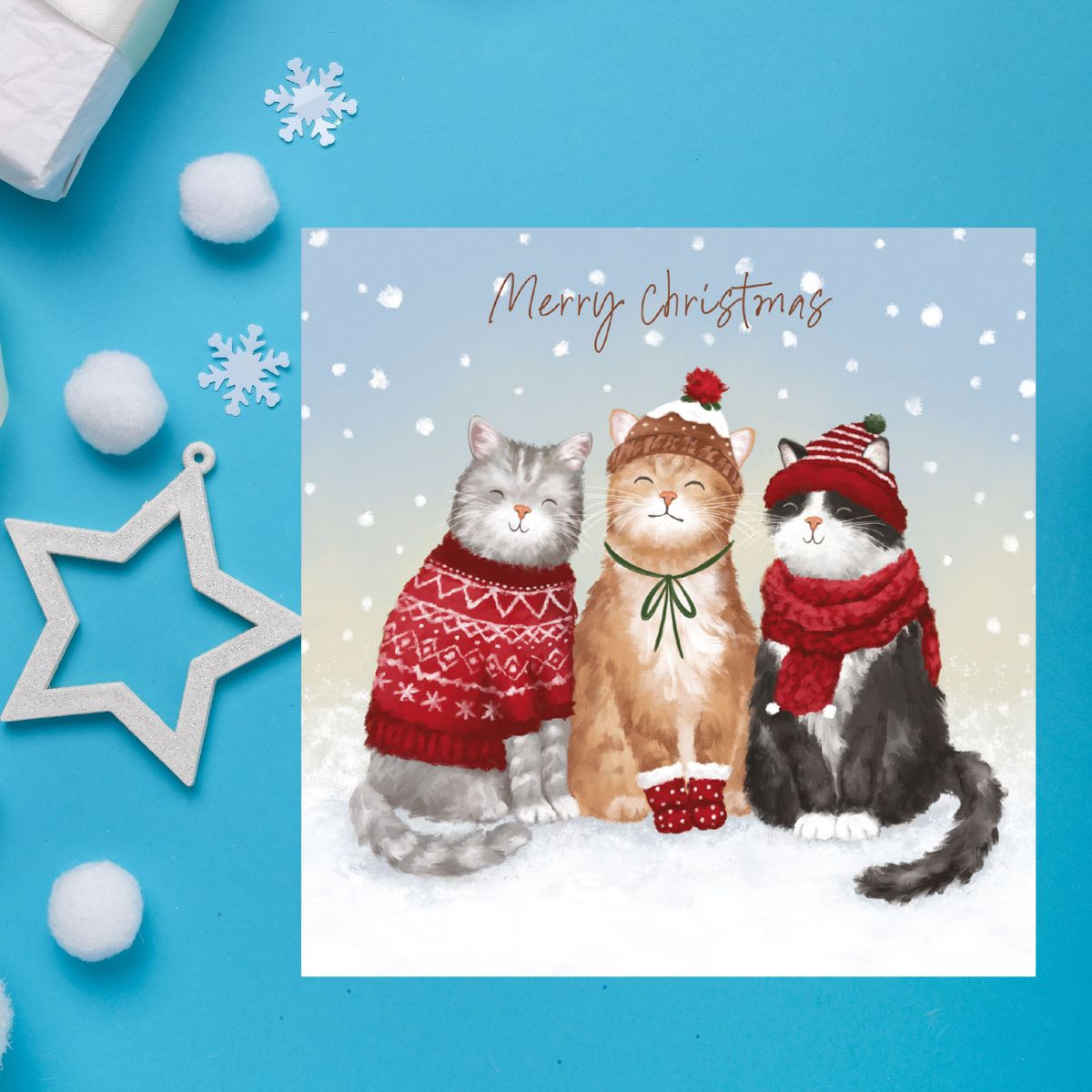 Charity Christmas Cards - 5 x Snowy Cats
