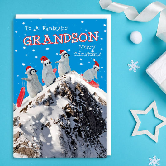 Grandson Christmas Card - Sledging Penguins