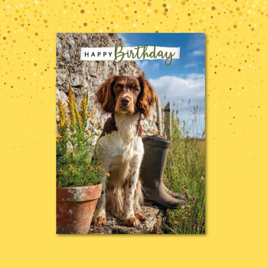 Ad Aww Able Birthday Card - Dog & Wellies