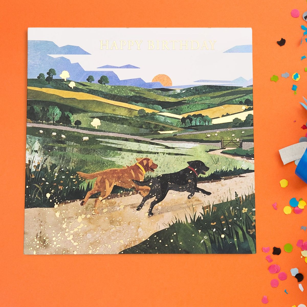 Pizazz Birthday Card - Dog Walks