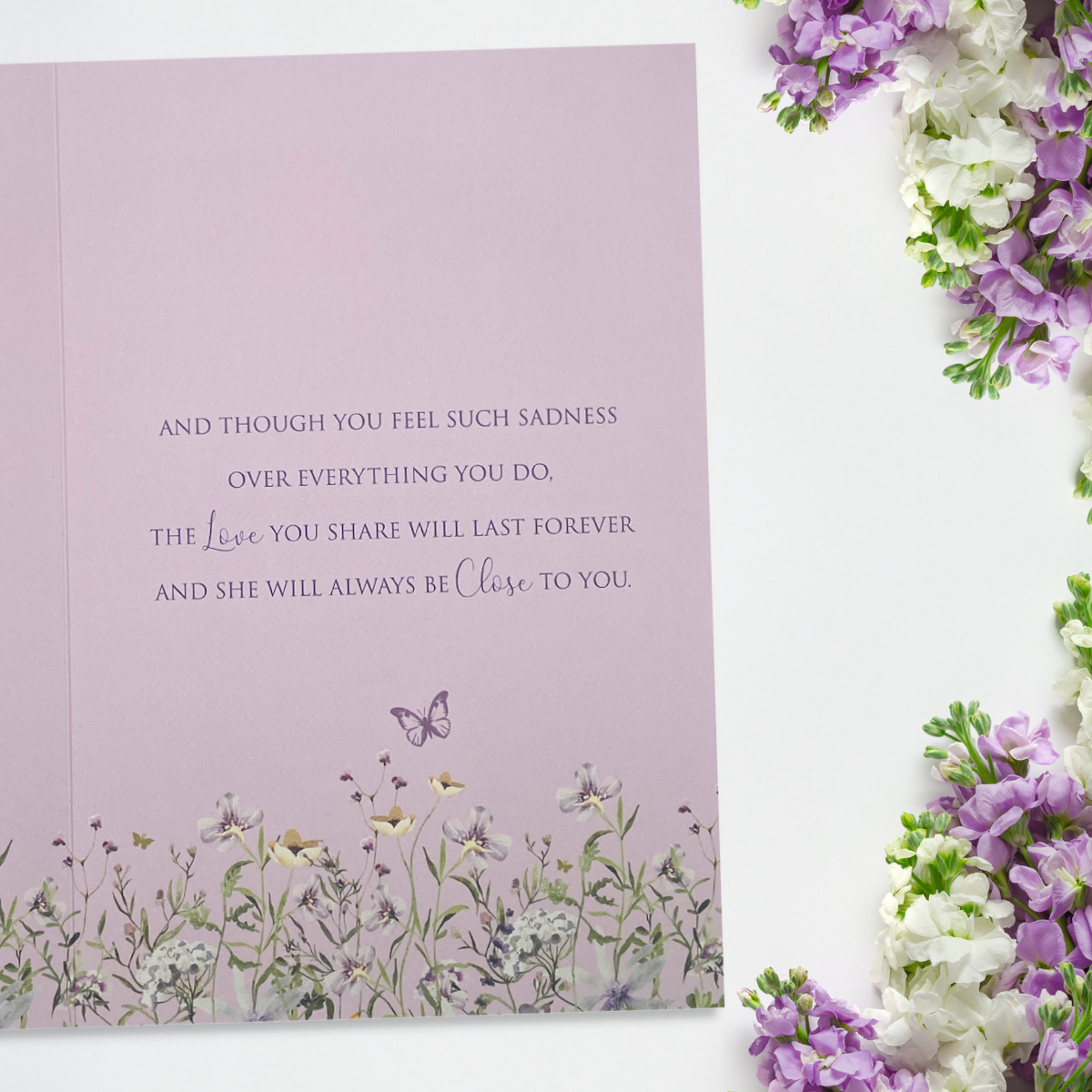 inside image with lilac background and greeting