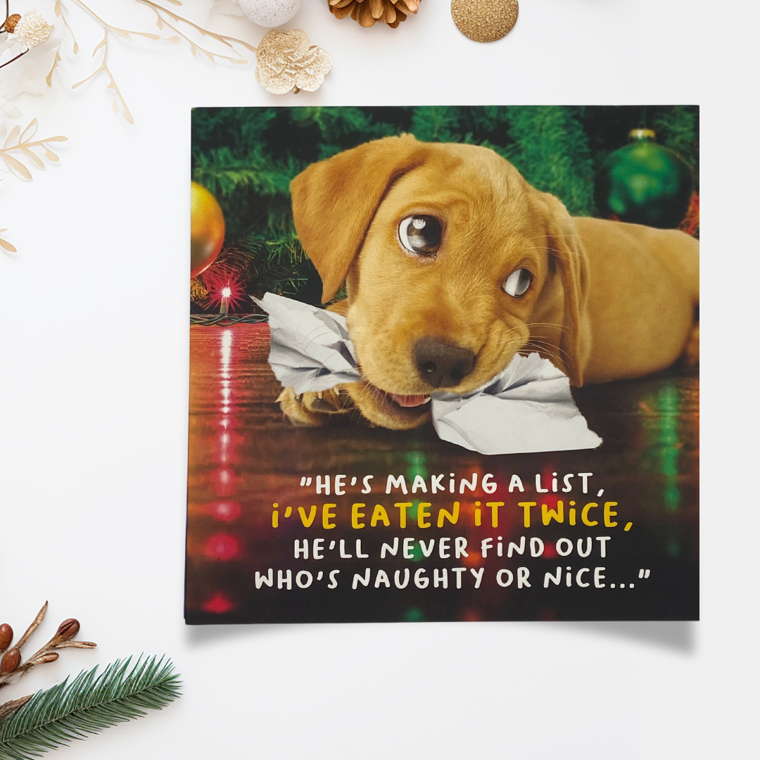 Funny Christmas Card - Virtual Safari Naughty Or Nice