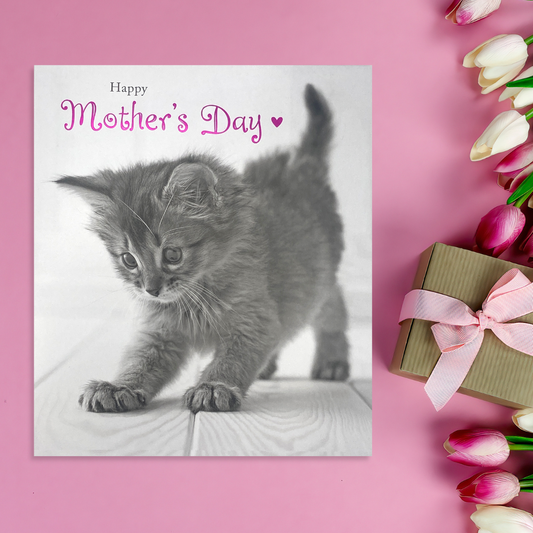 Black & White photograph of a fluffy kitten with pink foil text