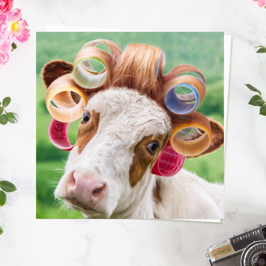 Cow in curlers with green background
