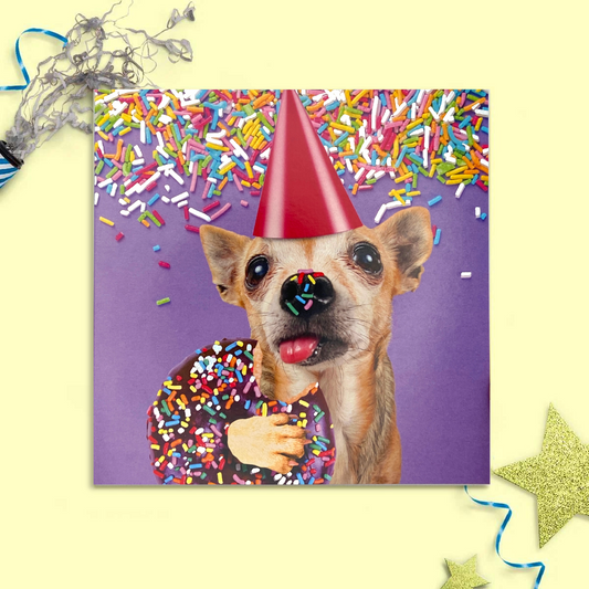 What A Picture Birthday Card - Chihuahua & Doughnut