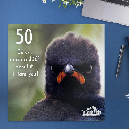 50th Birthday Card - Go On Make A Joke About It...