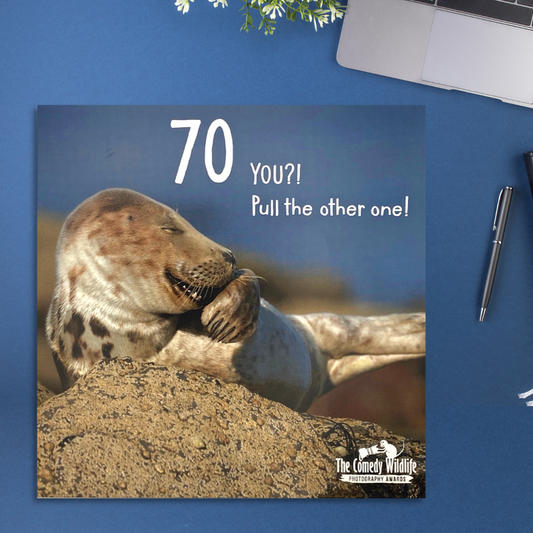 70th Birthday Card - You?! Pull The Other One!