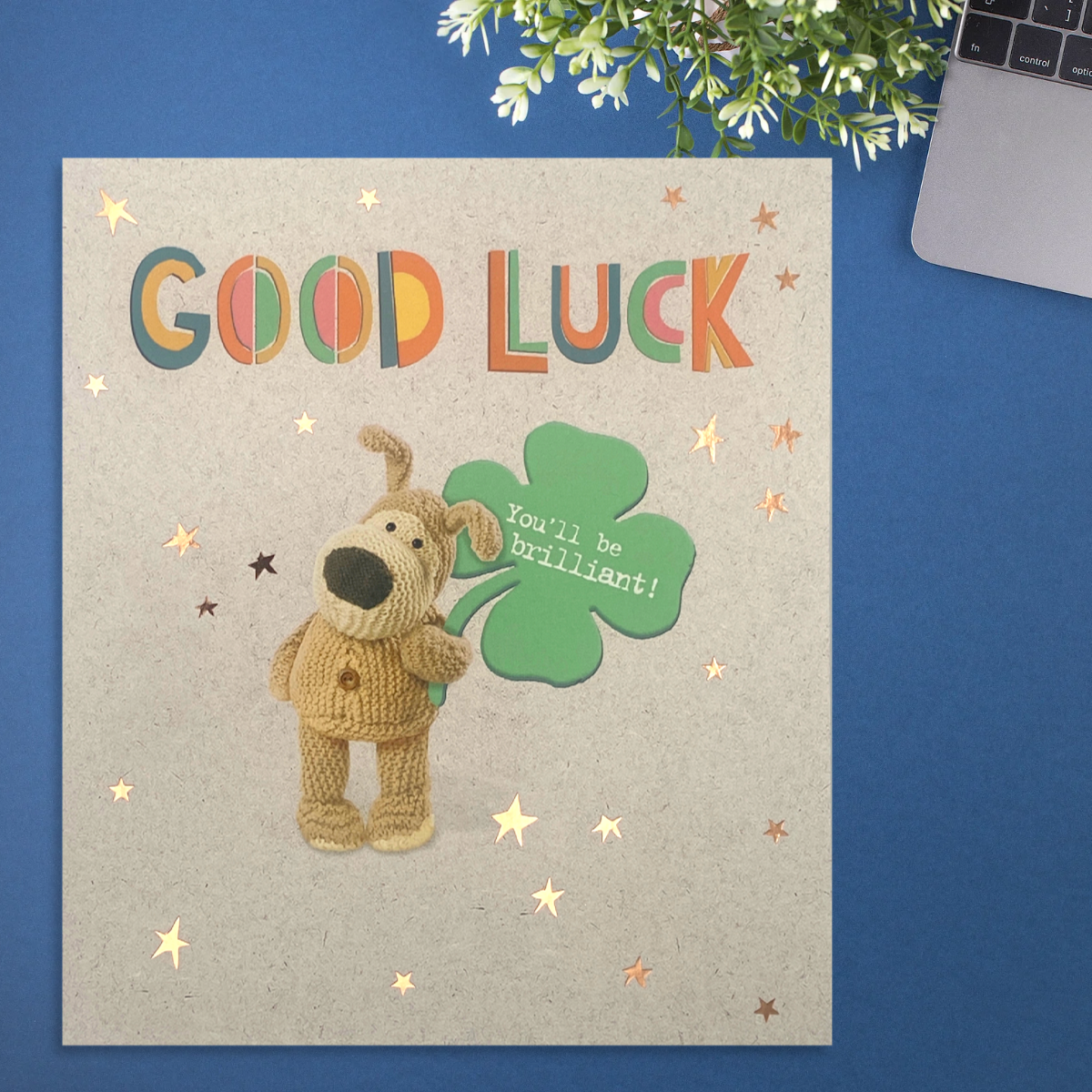 Good Luck Card - Boofle You'll Be Brilliant!