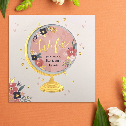 Wife Anniversary Card - You Mean The World
