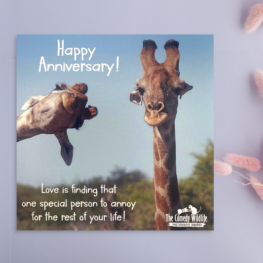 Happy Anniversary Card - Comedy Wildlife Giraffes
