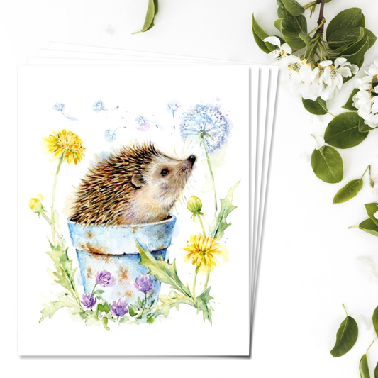 Notecards - Hedgehog & Dandelion - Pack of 4 Front Images