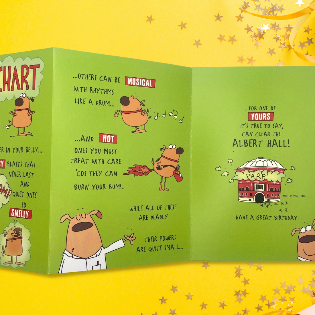 Funny Birthday Card - Giggles The Fart Chart – The Celebration Store
