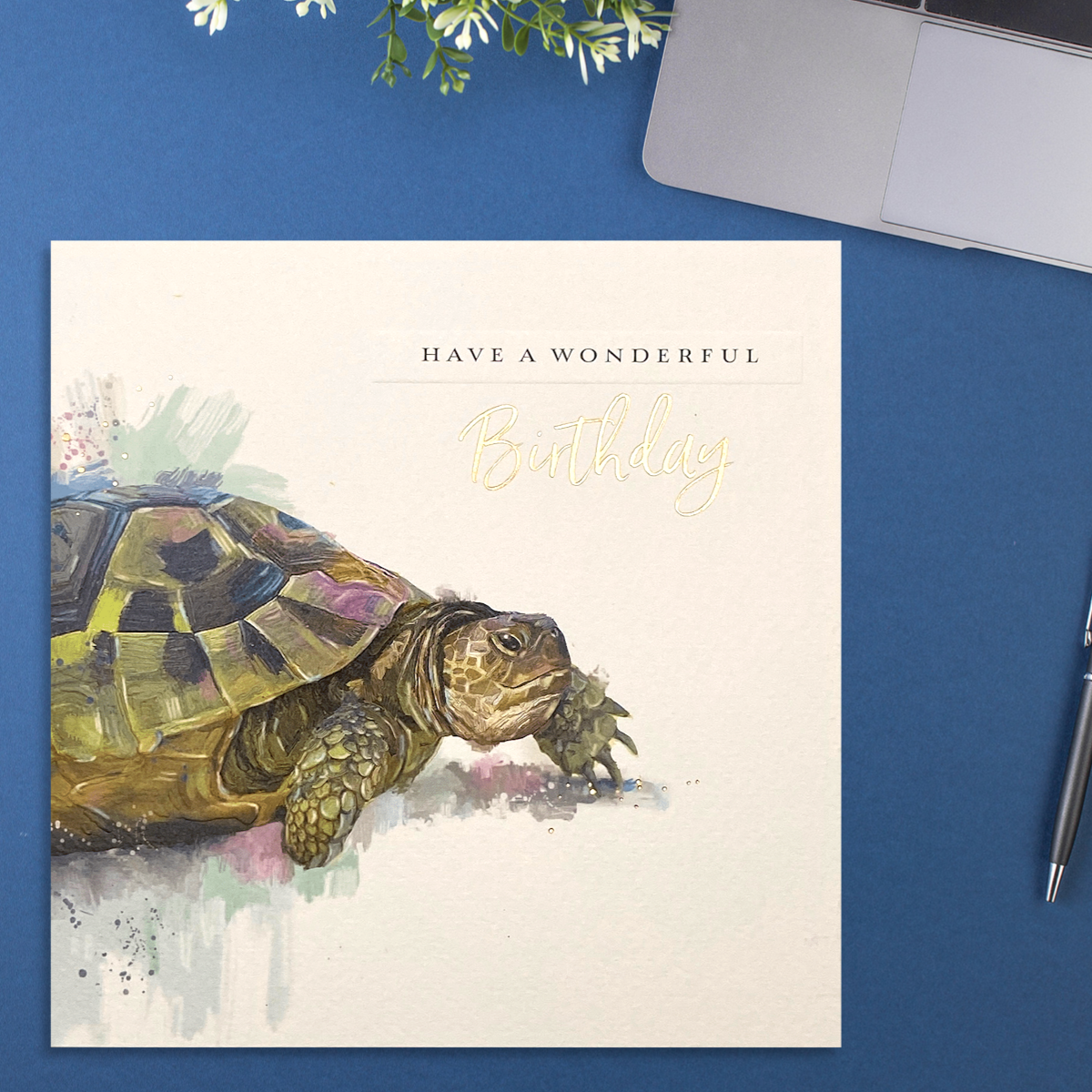 Full Image Of Tortoise Themed Birthday Card