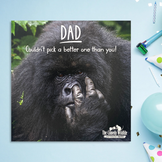 Dad Birthday - Comedy Wildlife Front Image