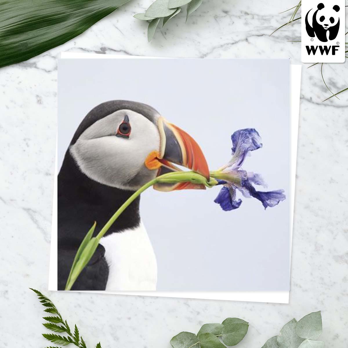 World Wildlife Fund - Atlantic Puffin Card Front Image