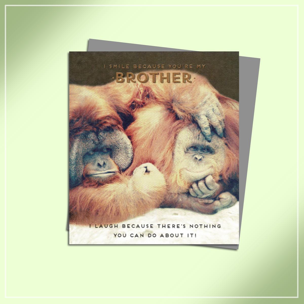Brother Monkey Themed Birthday Card Alongside Its Silver Envelope